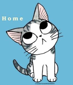 小貓的故事 小貓的故事