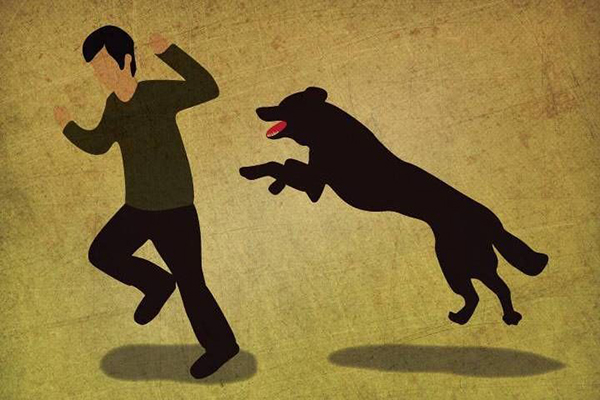 只是被狗牙蹭破了皮 也需要打狂犬疫苗嗎?