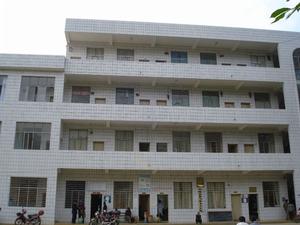 （圖）新馬街鄉