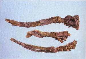 龍頭七2 龍頭七2