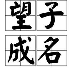 望子成名 望子成名