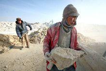 智障者打工現場照片