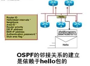 OSPF路由協定