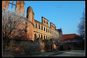 （圖）《德國海德堡》