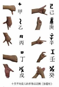 甲骨文天干文字與手型示意