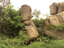 高劉山——戲獅