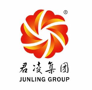 君凌控股集團有限公司 君凌控股集團有限公司