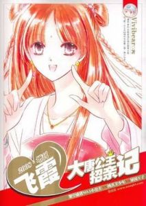 大唐公主招親記