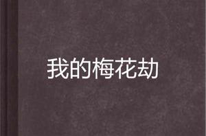 我的梅花劫 我的梅花劫