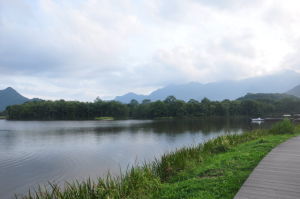 神農架大九湖國家濕地公園
