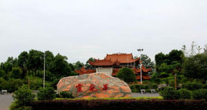 攸縣靈龜峰 攸縣靈龜峰