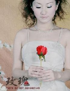 女人玫瑰 女人玫瑰