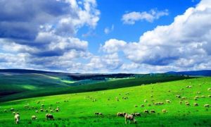 白音烏拉遊牧文化區 白音烏拉遊牧文化區