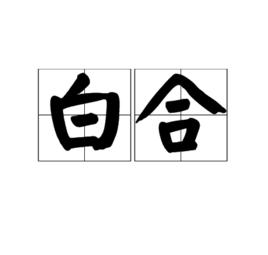白合 白合