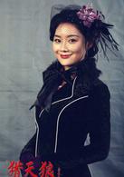 獵狼[袁姍姍、何晟銘主演諜戰劇]