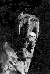 義大利扭玻利頓