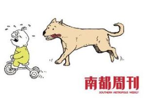 一狗政策 一狗政策