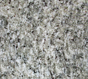 達拉斯白麻 | Dallas White |