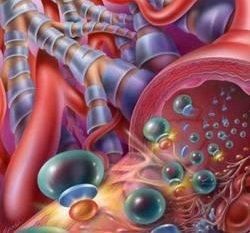 血液傳染病 血液傳染病