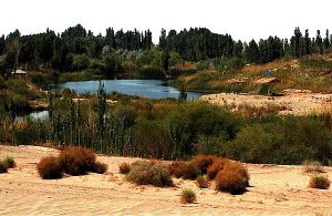 柴達木盆地沙漠綠洲