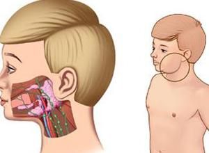 頜下腺腫大 頜下腺腫大