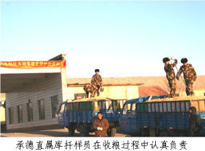 中央儲備糧承德直屬庫