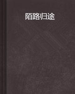 陌路歸途 陌路歸途