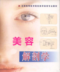 美容解剖學 美容解剖學