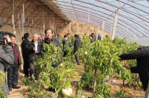 沙日浩來鎮 沙日浩來鎮