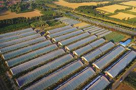 農業生產基地 農業生產基地