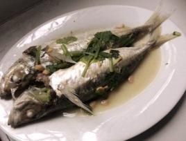 豆醬蒸巴浪魚 豆醬蒸巴浪魚