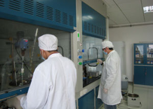 德和大夫 德和大夫