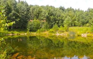 遼河源國家森林公園