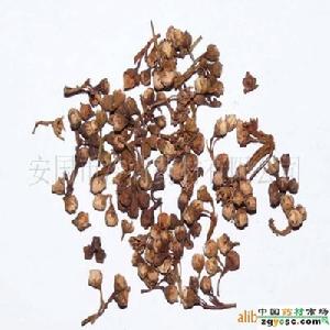 （圖）山楂花的藥用價值 