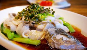 寬體舌鰨（目魚）