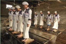 端午踩曲 端午踩曲