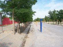 金山村[寧夏賀蘭縣洪廣鎮金山村]