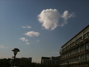 極睿咖啡(北京)有限公司