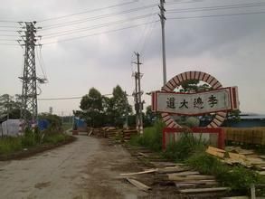 李路口村 李路口村