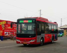 石家莊公交508路 石家莊公交508路