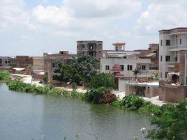 王村港鎮 王村港鎮