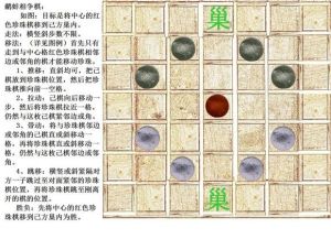 鷸蚌相爭棋