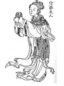 宣華夫人 宣華夫人