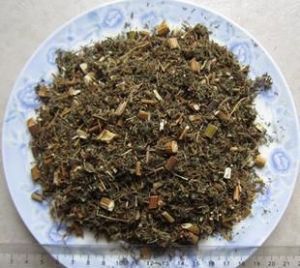 青蒿煎丸 青蒿煎丸