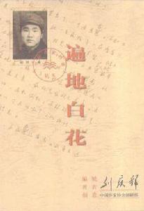 遍地白花 遍地白花