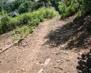 班金自然村 班金自然村