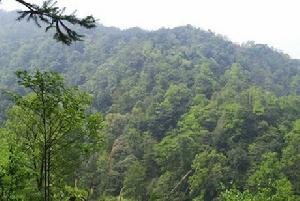 元寶山國家森林公園