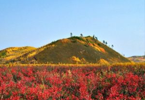 小興安嶺桃山景區 小興安嶺桃山景區