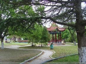 烏君洲公園 烏君洲公園