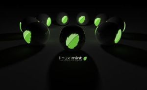 Linux Mint